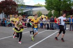 Rats-Runners Bühlertann 2015