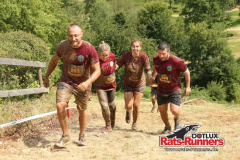2019_goldbach00711