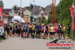 Kupferzell_2019_55000011