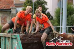 Kupferzell_2019_55001491