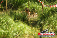 2022_RR_SuRo01151