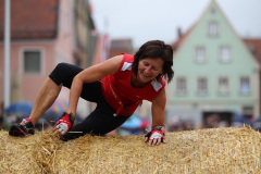 Weissenburg_2015011