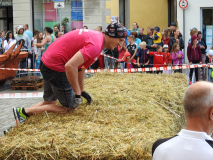 Rats Runners Urban Run Weißenburg 2016