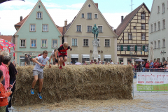 Rats Runners Urban Run Weißenburg 2016