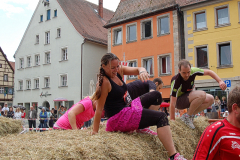 Rats Runners Urban Run Weißenburg 2016