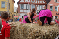 Rats Runners Urban Run Weißenburg 2016