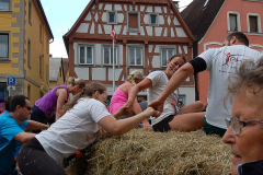 Rats Runners Urban Run Weißenburg 2016