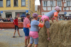 Rats Runners Urban Run Weißenburg 2016